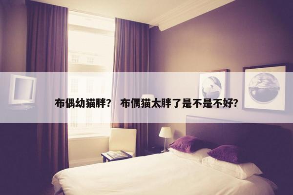 布偶幼猫胖？ 布偶猫太胖了是不是不好？