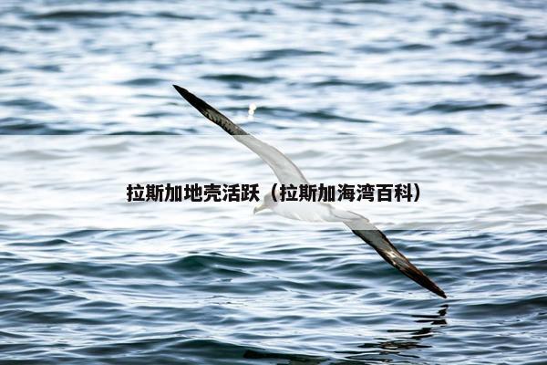 拉斯加地壳活跃（拉斯加海湾百科）