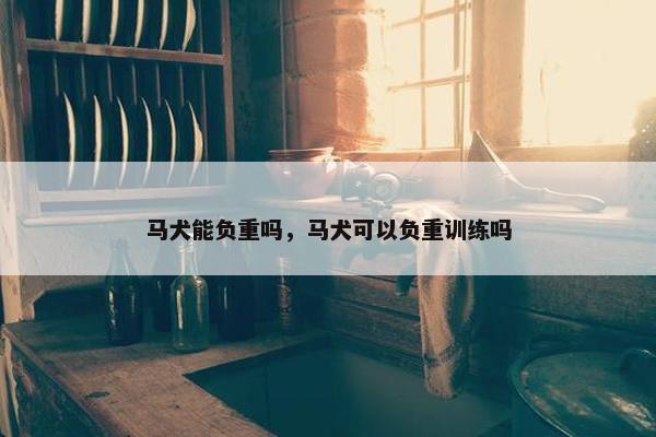 马犬能负重吗，马犬可以负重训练吗