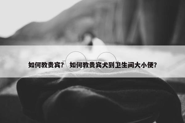 如何教贵宾？ 如何教贵宾犬到卫生间大小便？