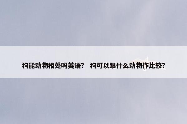 狗能动物相处吗英语？ 狗可以跟什么动物作比较？