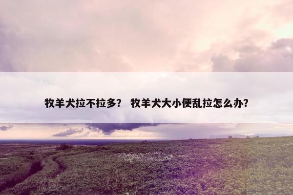 牧羊犬拉不拉多？ 牧羊犬大小便乱拉怎么办？
