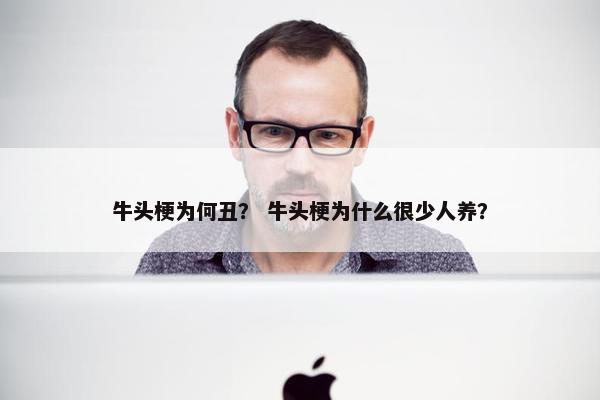 牛头梗为何丑？ 牛头梗为什么很少人养？
