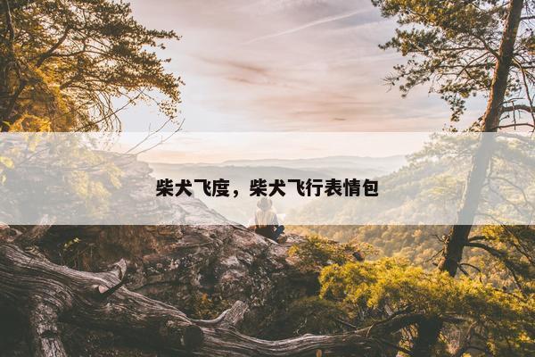 柴犬飞度，柴犬飞行表情包
