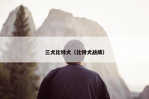 三犬比特犬（比特犬战绩）