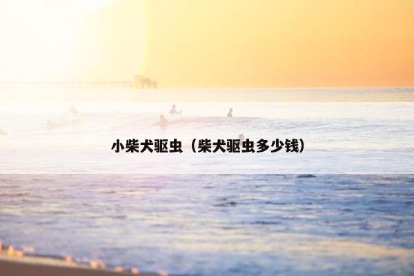 小柴犬驱虫（柴犬驱虫多少钱）