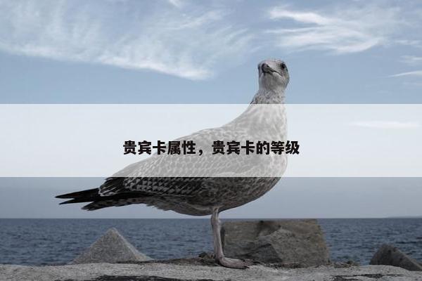 贵宾卡属性，贵宾卡的等级