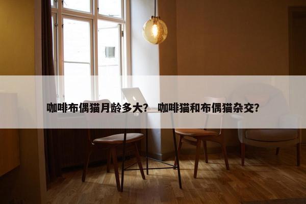 咖啡布偶猫月龄多大？ 咖啡猫和布偶猫杂交？