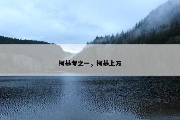 柯基考之一，柯基上万
