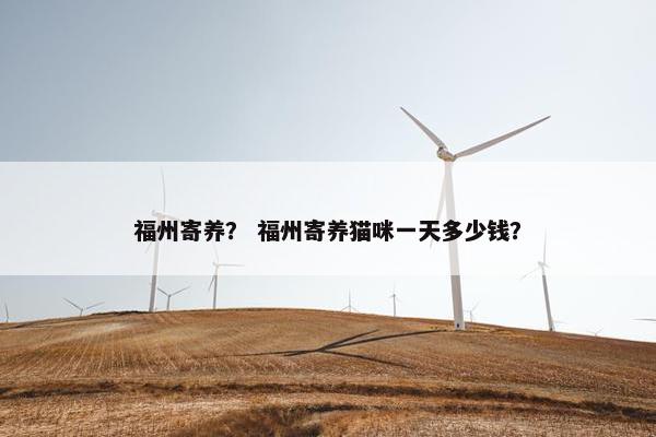 福州寄养？ 福州寄养猫咪一天多少钱？