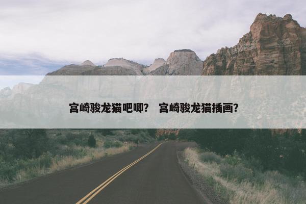 宫崎骏龙猫吧唧？ 宫崎骏龙猫插画？