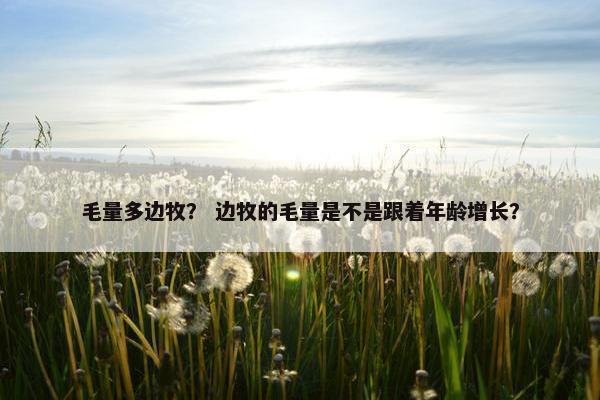 毛量多边牧？ 边牧的毛量是不是跟着年龄增长？