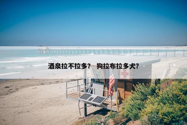 酒泉拉不拉多？ 狗拉布拉多犬？
