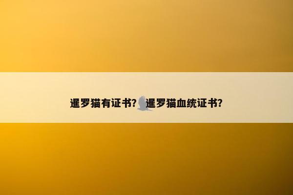 暹罗猫有证书？ 暹罗猫血统证书？