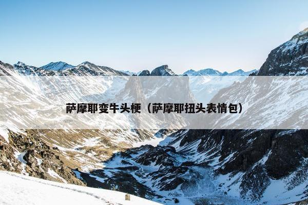 萨摩耶变牛头梗（萨摩耶扭头表情包）