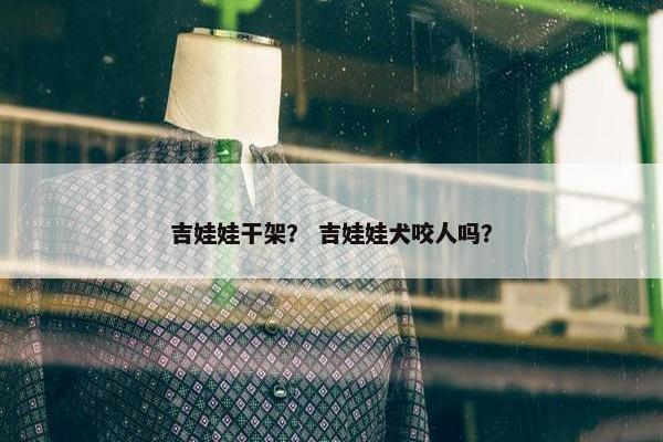 吉娃娃干架？ 吉娃娃犬咬人吗？