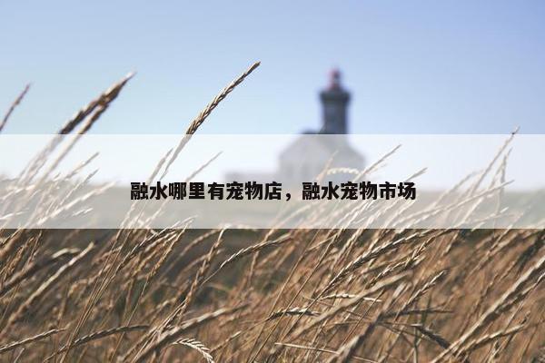 融水哪里有宠物店，融水宠物市场
