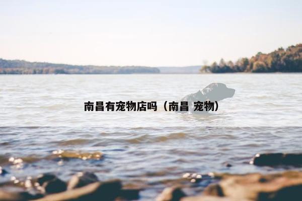 南昌有宠物店吗（南昌 宠物）