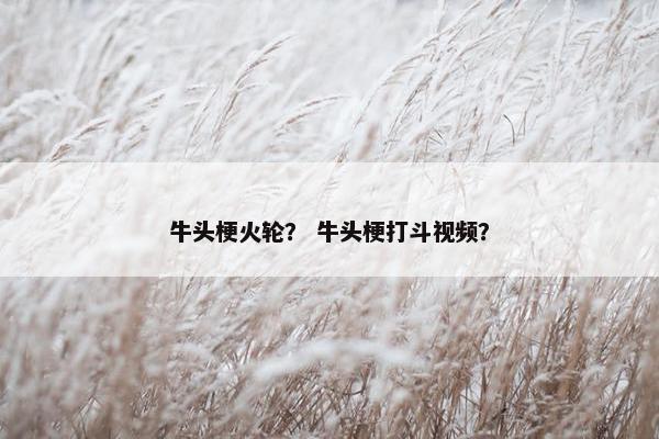 牛头梗火轮？ 牛头梗打斗视频？