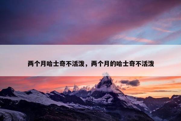 两个月哈士奇不活泼，两个月的哈士奇不活泼