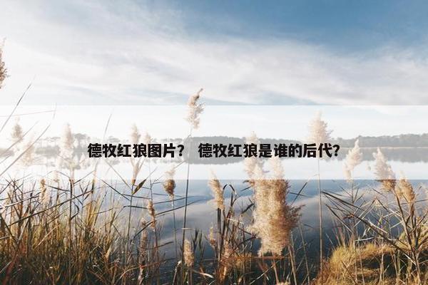 德牧红狼图片？ 德牧红狼是谁的后代？