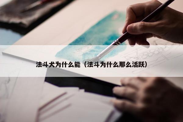 法斗犬为什么能（法斗为什么那么活跃）