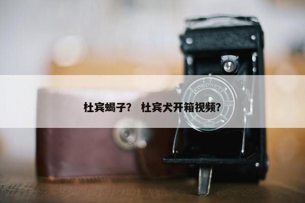 杜宾蝎子？ 杜宾犬开箱视频？