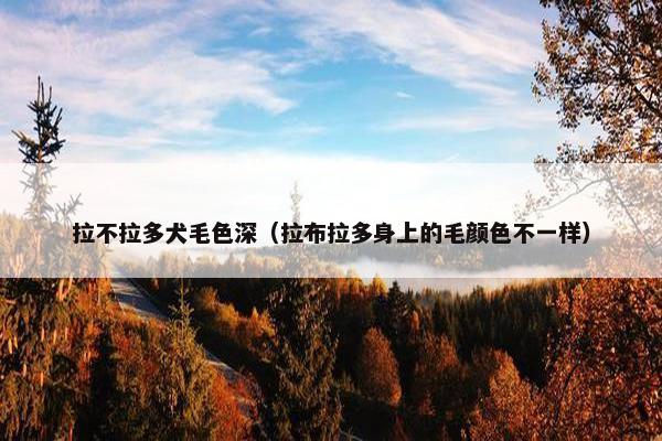 拉不拉多犬毛色深（拉布拉多身上的毛颜色不一样）