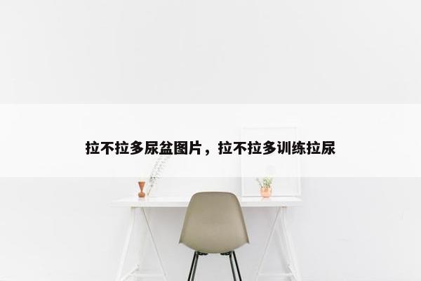拉不拉多尿盆图片，拉不拉多训练拉尿