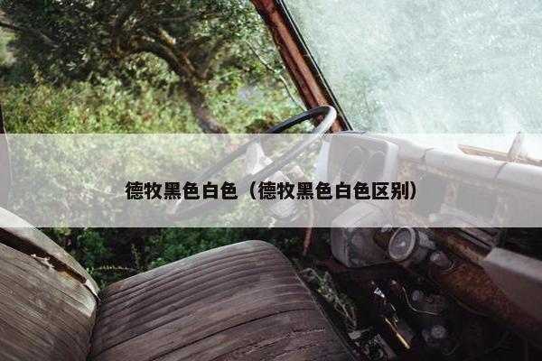 德牧黑色白色（德牧黑色白色区别）