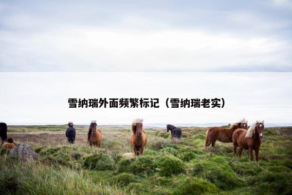 雪纳瑞外面频繁标记（雪纳瑞老实）