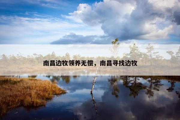 南昌边牧领养无偿，南昌寻找边牧