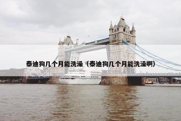 泰迪狗几个月能洗澡（泰迪狗几个月能洗澡啊）