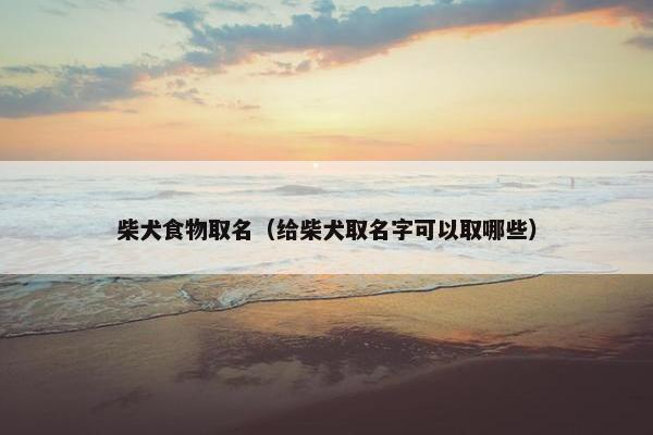 柴犬食物取名（给柴犬取名字可以取哪些）