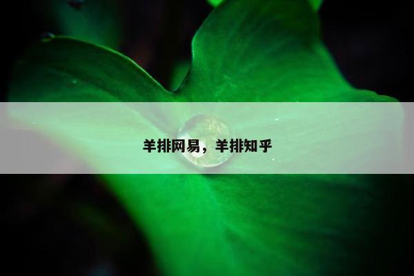 羊排网易，羊排知乎