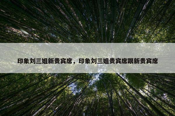 印象刘三姐新贵宾席，印象刘三姐贵宾席跟新贵宾席