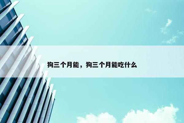 狗三个月能，狗三个月能吃什么