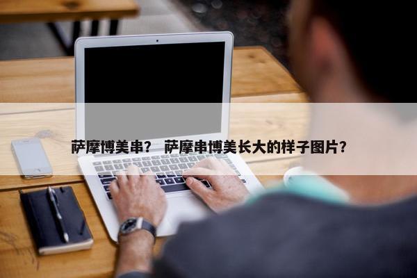 萨摩博美串？ 萨摩串博美长大的样子图片？