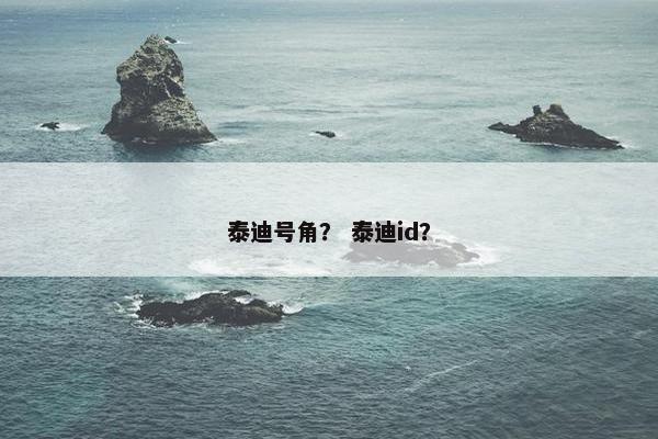 泰迪号角？ 泰迪id？