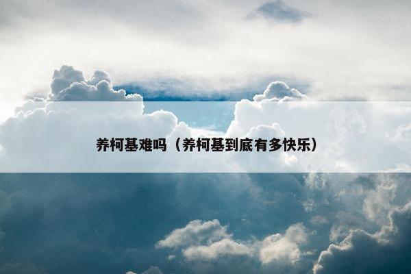 养柯基难吗（养柯基到底有多快乐）