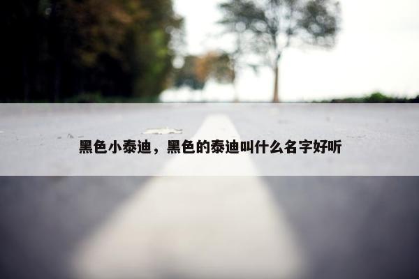 黑色小泰迪，黑色的泰迪叫什么名字好听