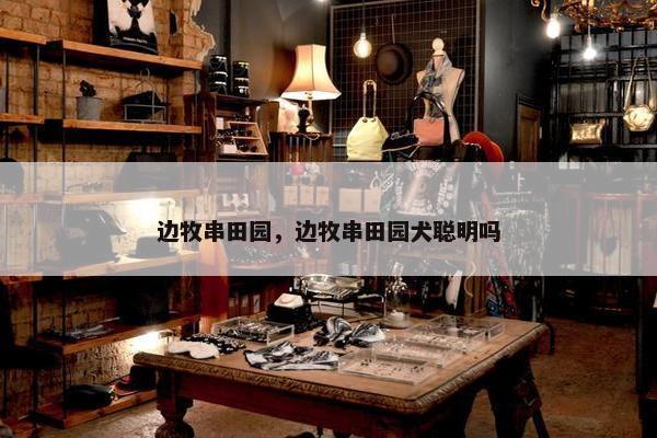 边牧串田园，边牧串田园犬聪明吗