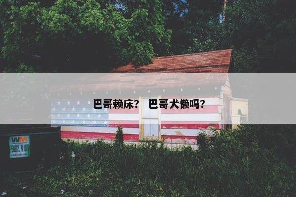 巴哥赖床？ 巴哥犬懒吗？