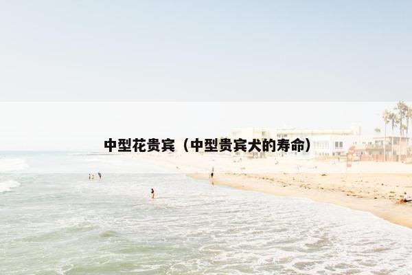 中型花贵宾（中型贵宾犬的寿命）