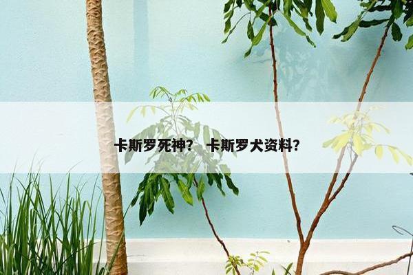 卡斯罗死神？ 卡斯罗犬资料？