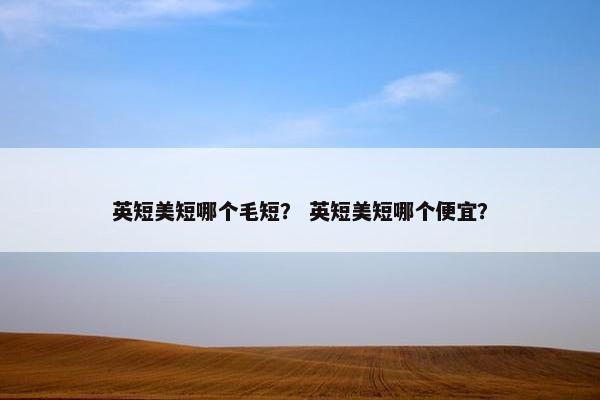 英短美短哪个毛短？ 英短美短哪个便宜？