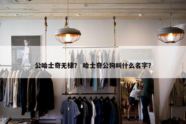 公哈士奇无棣？ 哈士奇公狗叫什么名字？