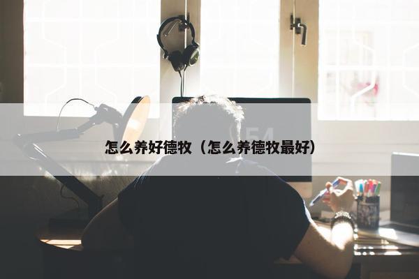 怎么养好德牧（怎么养德牧最好）