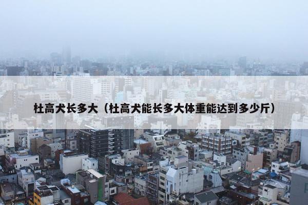 杜高犬长多大（杜高犬能长多大体重能达到多少斤）