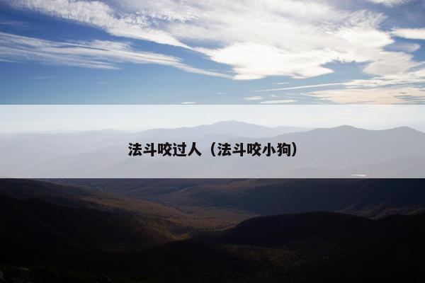 法斗咬过人（法斗咬小狗）